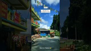 Road To Darjeeling ️ | Darjeeling | Pahad | Hill | #viral #tour #youtubeshorts #travel  #tranding