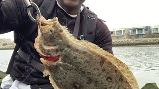 My 2nd Legal Halibut of 2024!!! |Seal Beach Jetty| (Catch, Clean, Cook) |SoCal Fishing|