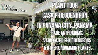 Plant Tour! CASA PHILODENDRON IN PANAMA CITY, PANAMA!!!! Variegated, Rare and Uncommon Plants!!