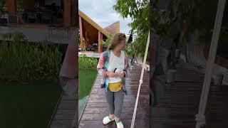 Красота посреди рисовых полет и скал в Таиланде провинция Пхаталунг #тайланд