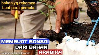 Bonsai arabika bahan yg murah meriah, rekomen buat pemula
