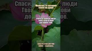 Молитва при чувстве пустоты #пустота #утешение #православие