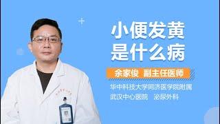 什么是小便发黄 小便发黄是什么病 有来医生