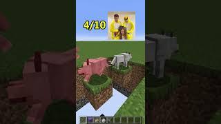 Minecraft: Who was the best?  #Shorts