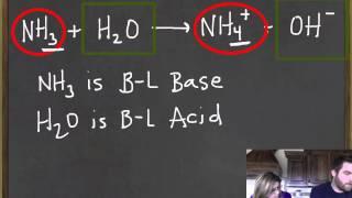 Bronsted-Lowry Acids and Bases