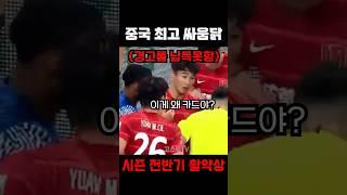 중국 최고 싸움닭의 화끈한 전반기 활약상ㄷㄷㄷ #shorts
