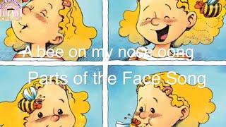 Buzz Buzz Story, A bee on my nose song | Face song for preschool | Parts of the Body | kindergarten