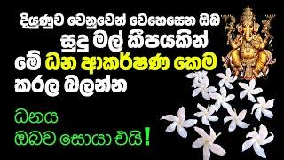 ධනය ඔබව සොයා එන බලගතු ධන ආකර්ෂණ පිළියමක් | Gana Devi Pooja To Attract Money