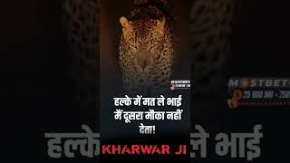 #Sher #Kharwar ji |Attitude #Stetus #kharwar ji 0.4 | RK Ghazipur | #shot  #viralvideo #video