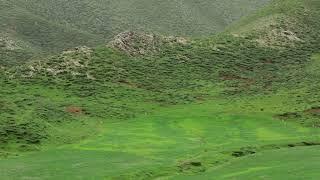 سردشت - دشت وزینه | Sardasht - Vezina Plain راهنمای سفر ایران