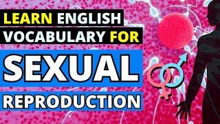 Sexual Reproduction Guide: Key Terms from Fertilization to Embryo | LearningEnglishPRO