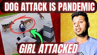 DOG ATTACK IN INDIA #dog #doglover #dogshorts #india