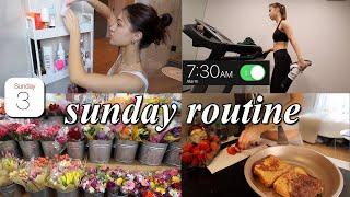 PRODUCTIVE SUNDAY RESET VLOG // organizing, grocery shopping, & deep cleaning