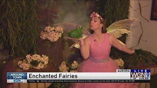 Around Town - Enchanted Fairies