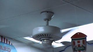 52" Harbor Breeze Builder's Best Ceiling Fans at Rita's