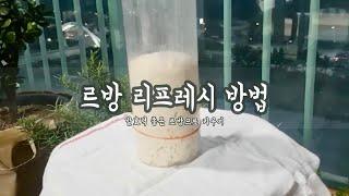 (천연발효종) 르방 리프레시 하는 방법, 르방 밥주기, 르방의 종류 / Levain Refresh