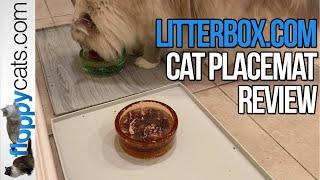 Cat Food Mat with Lip: Litterbox.com Pet Food Mat Product Review