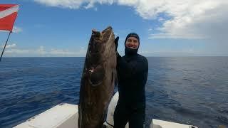 2022 Epic Deep Miami, FL Freediving Spearfishing ( 32lb KingFish and 34lb Black Grouper )