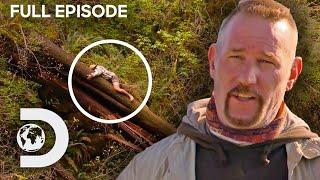 Dave & Cody Survive Gruelling Rainforest | Dual Survival FULL EPISODE