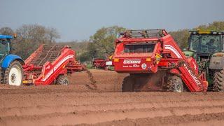 GRIMME CS 150 | clod & stone Separator