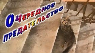 ОЧЕРЕДНОЕ ПРЕДАТЕЛЬСТВО.