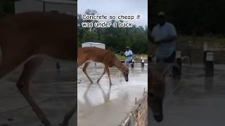 I’ll take it ‍️ #fishing #shortsviral #shortvideos #shorts #short #hunting #funny