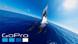 GoPro Awards: Sailing with Dolphins