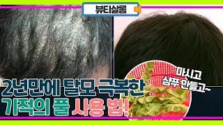 탈모와 두피 염증 모두 2년 만에 완치! 해주는 기적의 풀의 정체는?