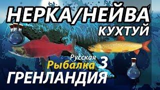 Нерка Нейва Поморник Кухтуй  / РР3 [Русская Рыбалка 3 Гренландия]