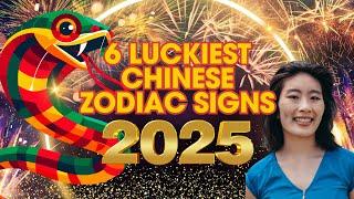 6 Luckiest Chinese Zodiac Signs In 2025 | Ziggy Natural