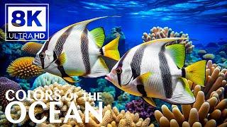 Ocean Serenity 8K  Calm Underwater Views with Peaceful Fish and Coral Reefs
