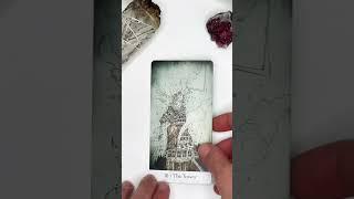 El Consejo de  La Torre - #tarot #latorre #tarotonline