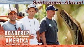 Der Mann mit der größten und längsten PYTHON! Welcome to Florida! | Roadtrip Amerika | Kabel Eins