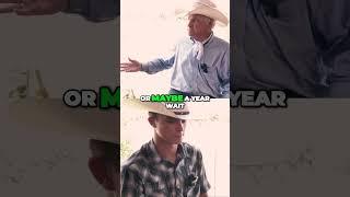 The Hidden Truth About Our Beef Industry and the Rise of DIY Butchering