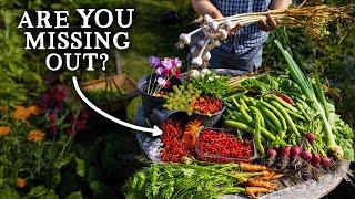 Why You MUST 'Just Keep Planting' in Summer