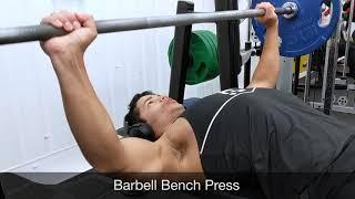 Bench Press (SF Personal Trainer London)