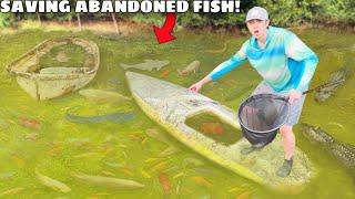 Rescuing MONSTER Aquarium Fish From ABANDONED POND!