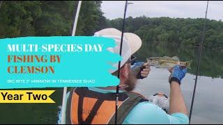 Today Was a Good Bass Fishing Day - Kayak Bass Fishing by Clemson