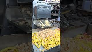Fryer Machine  | Automatic Frying Machine | Fryer #shortsfeed #shorts #fryermachine #machine #fryer