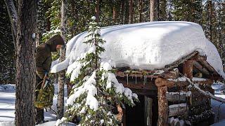 hiding in an abandoned log cabin in the wilderness.