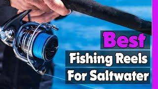 Top 5: Best Fishing Reels For Saltwater In 2024  [ Amazon Saltwater Fishing Reels ]