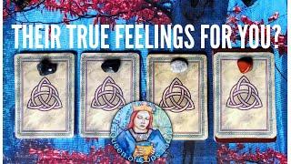 WHAT ARE THEIR TRUE FEELINGS TOWARDS YOU?  Timeless Pick a Card Psychic Reading