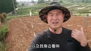 美丽乡村应该什么样？如何建设和振兴？走过千村百乡汉中大叔说