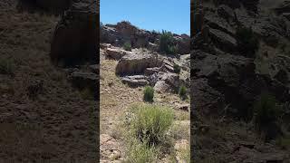 7/26/23 hike New Mexico cool rock formations on climb up #hike #mountains #nature #video #desert