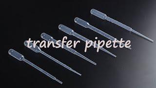 JSHD plastic disposable transfer pipette