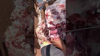 Leg Khunjha cutting #meat #cuttingmeat #meatprocessing