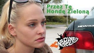 Accord - Przez Tę Hondę Zieloną (AKCENT PARODIA) | Na Pełnej