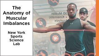 Shoulder and Back Imbalance Training | NY Sports Science Lab