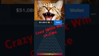 Crazy 1000x win on stake plinko! #stake