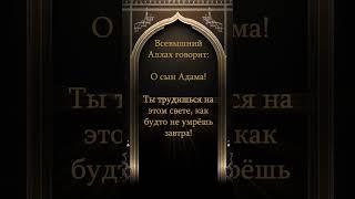 Хадисы Кудси  6 #напоминание #хадисы #ислам